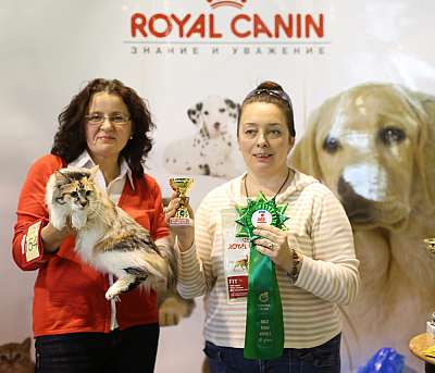 �������� ����� 18-19 ������� 2014 WCF-����� 3-154-169A4028 copy.jpg